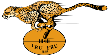 Free State Cheetahs